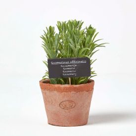Artificial Rosemary Plant in Decorative Pot