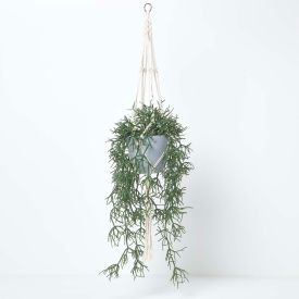 Artificial Hanging Basket Green Rhipsalis Plant, 116 cm