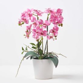 Pink Orchid 54 cm Phalaenopsis in Ceramic Pot Extra Large, 5 Stems