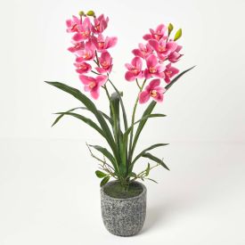 Red Orchid 80 cm Cymbidium in Cement Pot Extra Large, 2 Stems