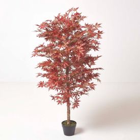 Acer Tree in Pot, 150 cm Tall