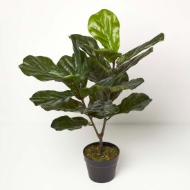 Artificial Fiddle Leaf Fig Tree in Pot, 75 cm Tall