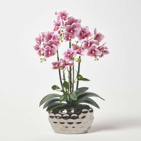 Pink Orchid 50 cm Phalaenopsis In Silver Metal Pot