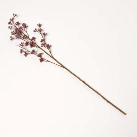 Pink Prickly Ash Flower Single Stem 77 cm
