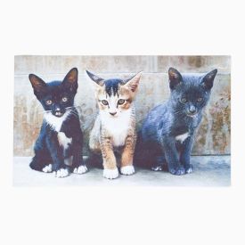 Kittens Printed 100% Recycled Rubber Non-Slip Doormat 