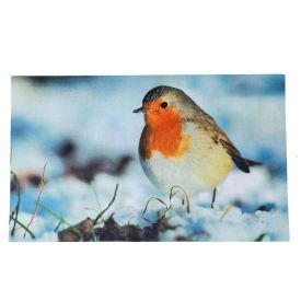 Recycled Rubber Printed Winter Robin Doormat