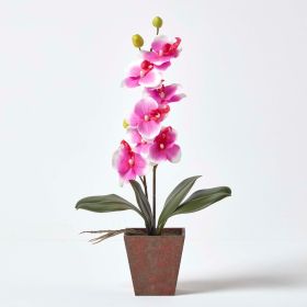 Pink & White Phalaenopsis Orchid with Rustic Brown Pot, 48 cm Tall