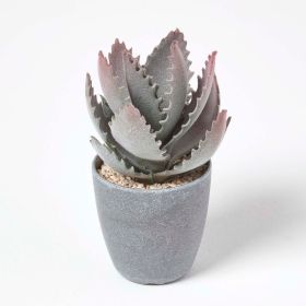 Purple and Green Aloe Vera Artificial Succulent in Grey Pot, 21 cm Tall