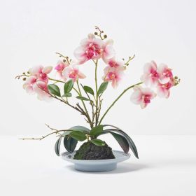 Pink and White Orchid 38 cm Phalaenopsis in Ceramic Pot